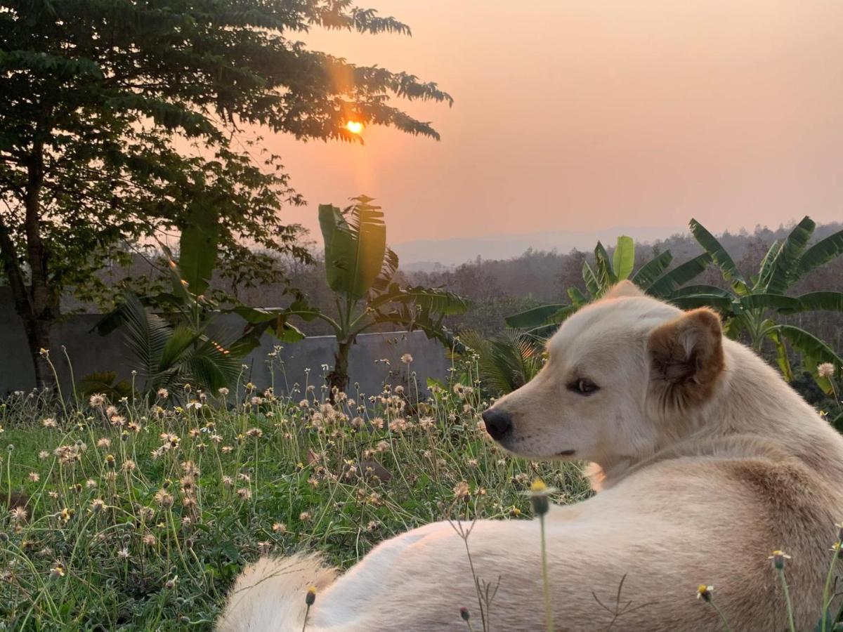 True Nature Chiang Mai - Yoga & Meditation Homestay Retreat Экстерьер фото
