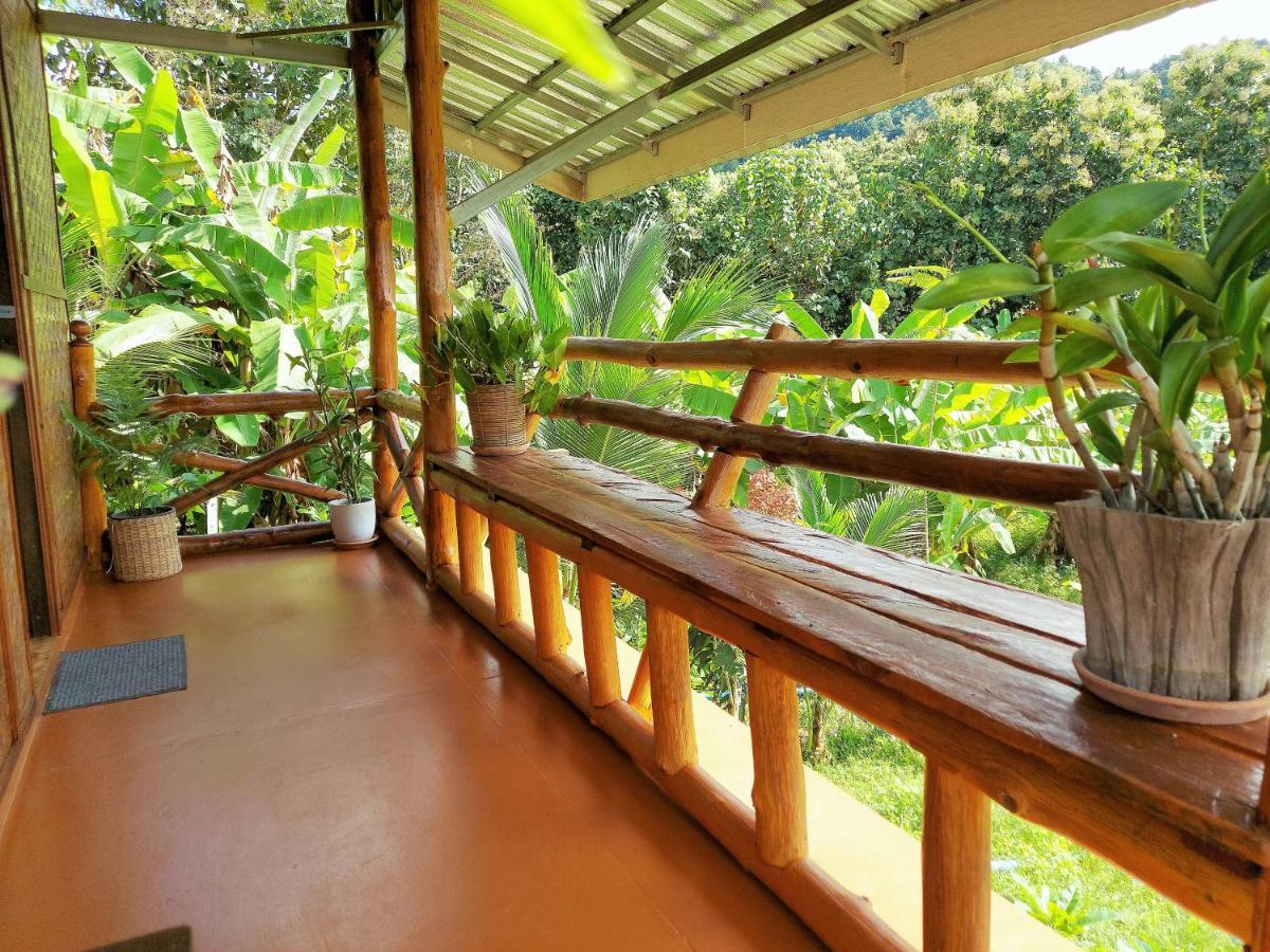 True Nature Chiang Mai - Yoga & Meditation Homestay Retreat Экстерьер фото